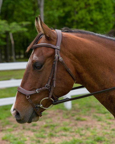 Henri de Rivel Pro Anatomical Bridle