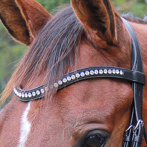 Veritas by Vespucci Contoured Browband with Swarovski® Crystals
