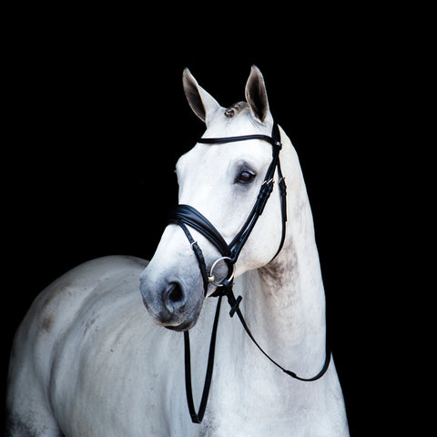 Stübben Switch Combo Bridle
