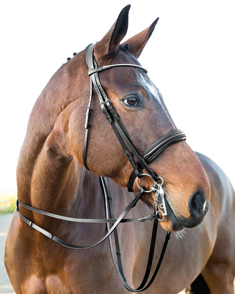 Horze Vienna Weymouth Dressage Bridle