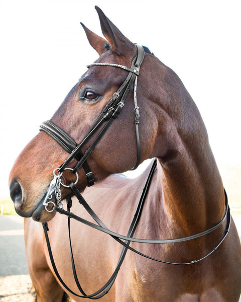 Horze Vienna Weymouth Dressage Bridle