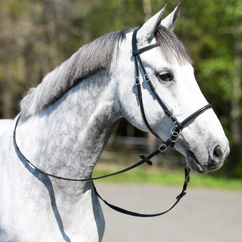 Horze Leather Bitless Bridle