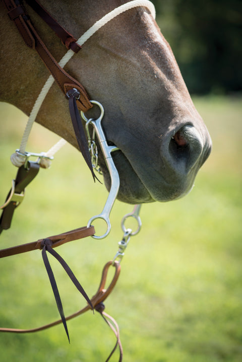 Cowboy Tack 3/8" Single Rope Noseband
