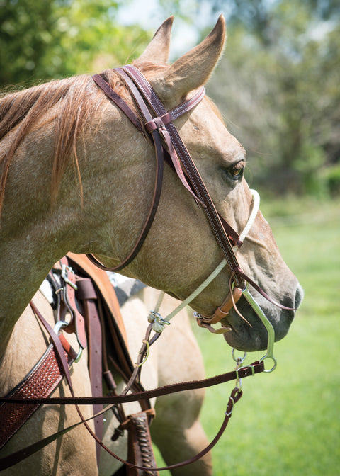 Cowboy Tack 3/8" Single Rope Noseband