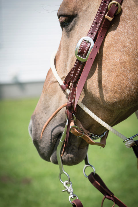 Cowboy Tack 3/8" Single Rope Noseband