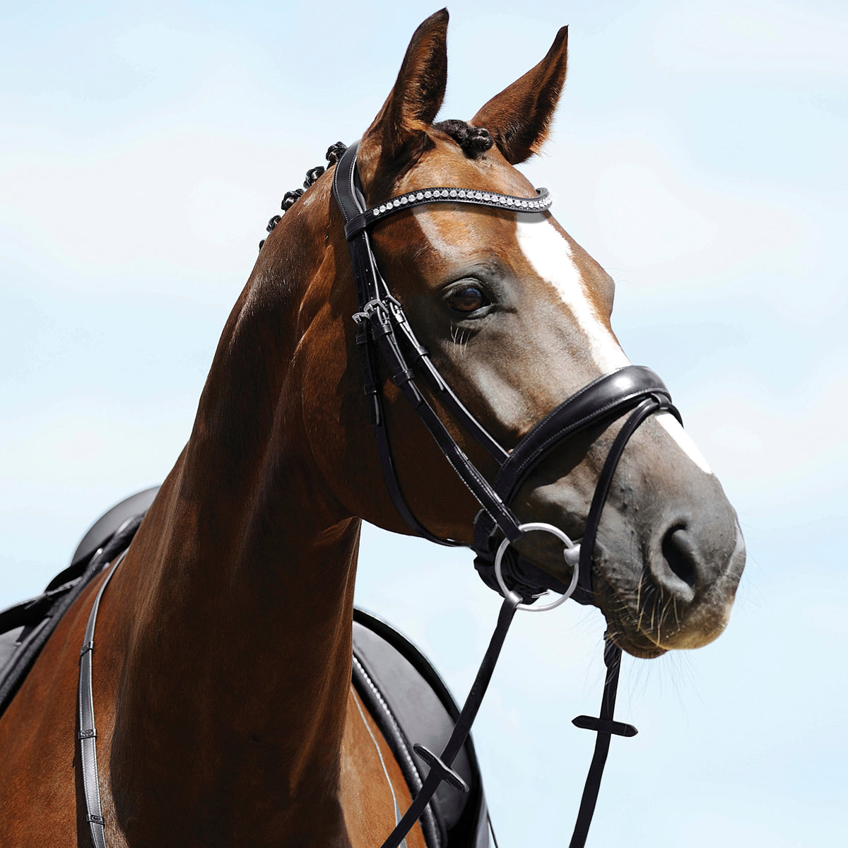 English Horse Tack Equipment Page Dover Saddlery english-horse-tack-equipment-page-dover-saddlery
