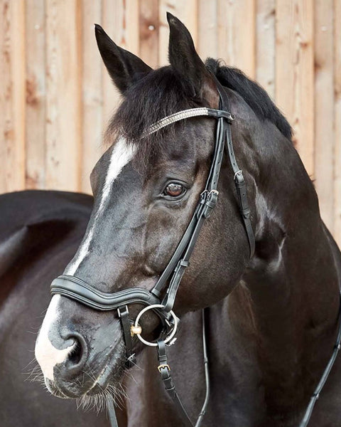 Horze Highbury Anatomical Crystal Dressage Bridle
