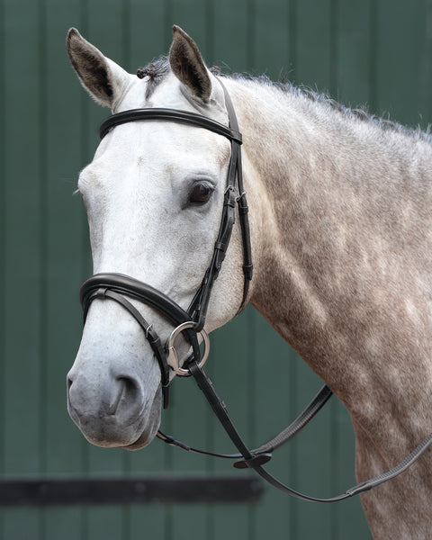Collegiate® Essential Padded Raised Flash Bridle