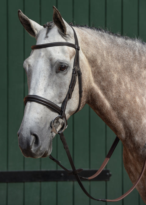 Collegiate® Essential Padded Raised Caveson Bridle