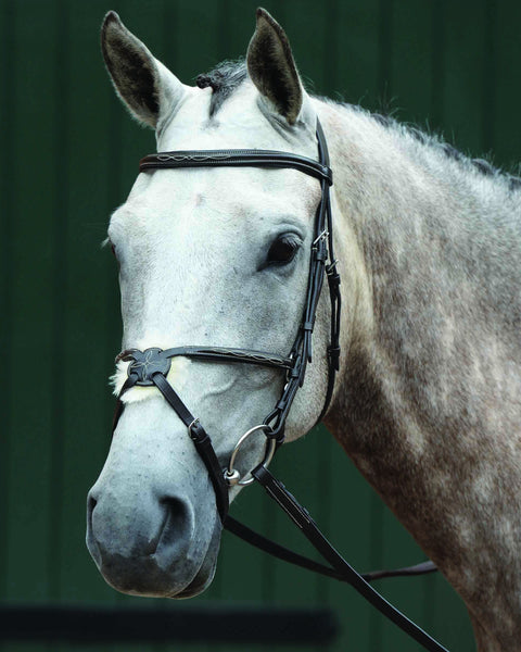 Collegiate® Essential Padded Raised Fancy-Stitched Figure-8 Bridle