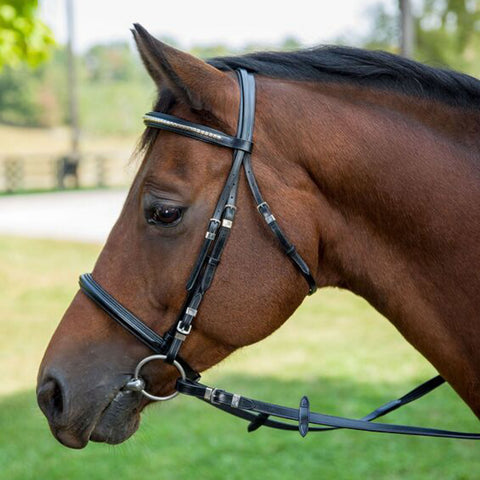 Henri de Rivel Clincher Bridle