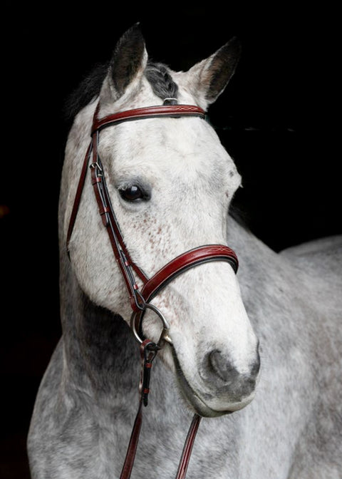 Grewal Equestrian™ St. Andrews Hunter Bridle