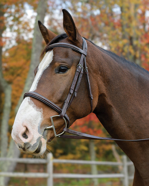 Shires Avignon Nashville Bridle