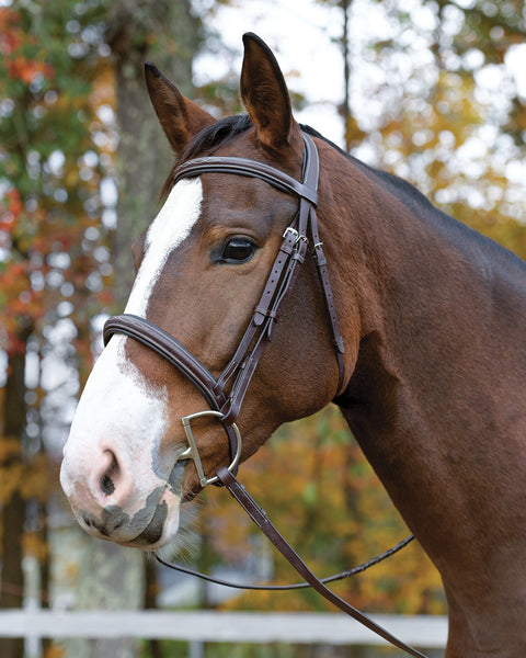 Shires Avignon Ocala Bridle