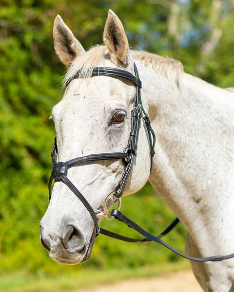 Shires Avignon Woodside Bridle