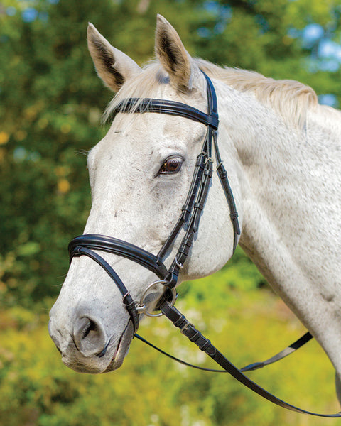 Shires Avignon Louisville Bridle