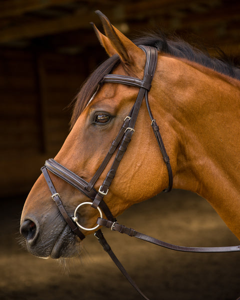 Shires Avignon Louisville Bridle