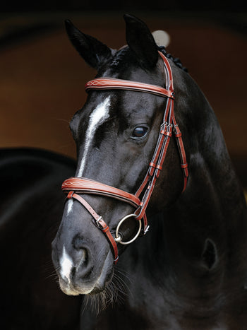 LeMieux® Kudos Competition Flash Bridle