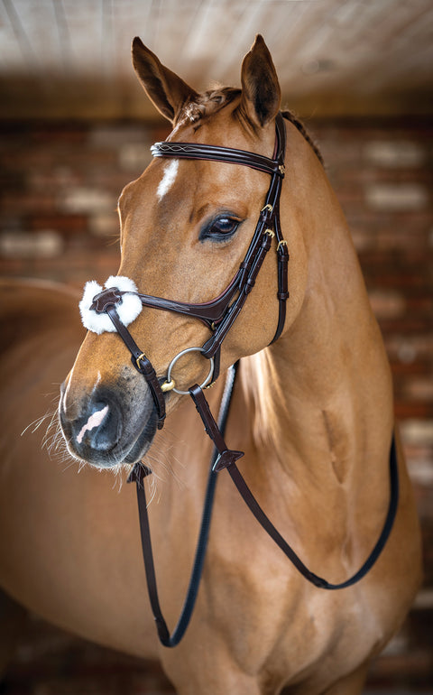 LeMieux® Kudos Figure-8 Bridle
