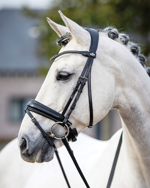 LeMieux® Kudos Dressage Flash Bridle