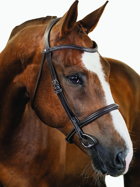 PS of Sweden Ocala Hunter Bridle