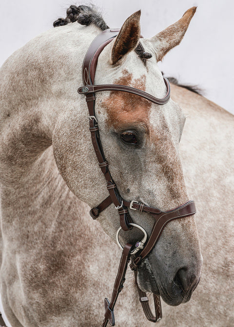 PS of Sweden Nirak™ Bridle