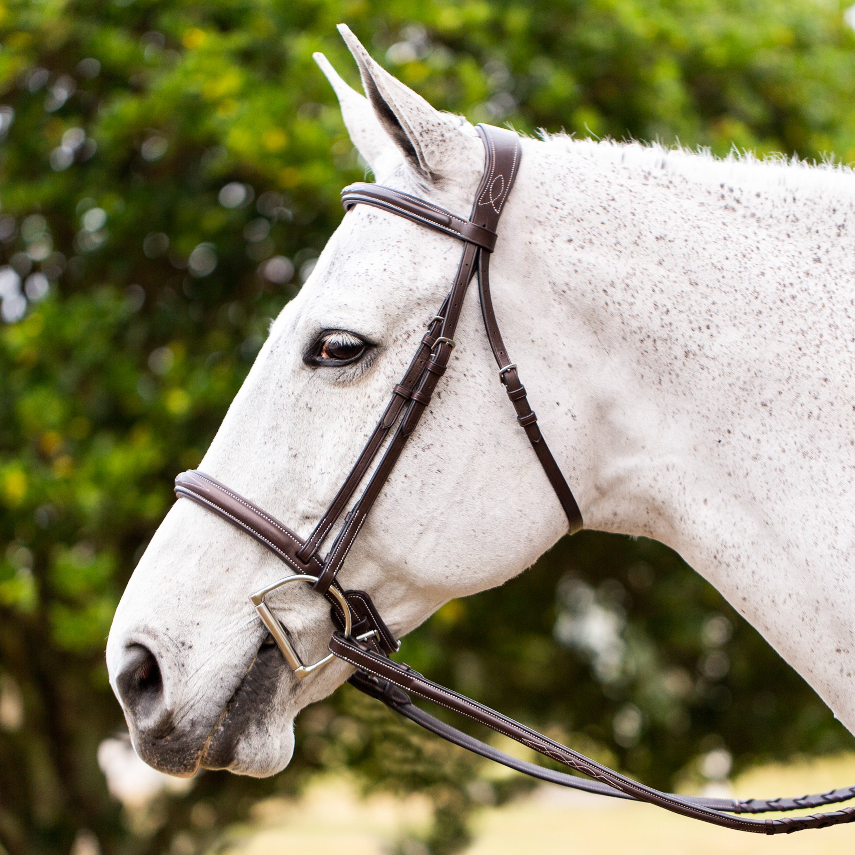 Eureka Plain Leather Snaffle Bridle By National Equestrian - Shetland To Full