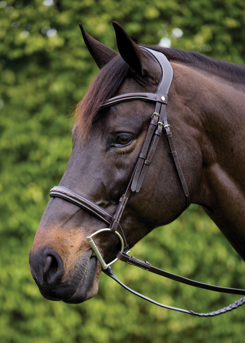 Showmark® Ergonomic Hunter Bridle