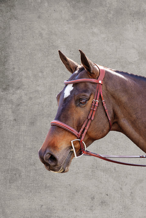 Showmark® Ergonomic Hunter Bridle