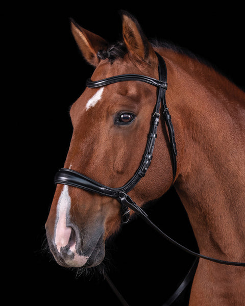 Schockemöhle Equitus Theta Bridle