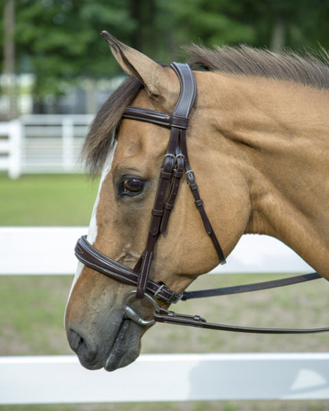 Henri de Rivel Pro Mono Crown Padded Wide Noseband Bridle