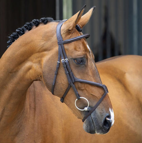 Velociti Lusso Grackle Bridle