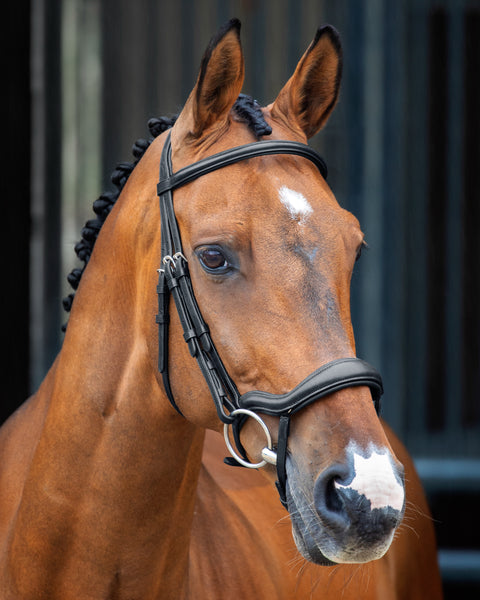 Velociti Lusso Ergonomic Flash Bridle