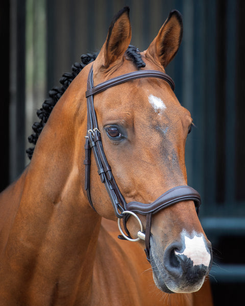 Velociti Lusso Ergonomic Flash Bridle
