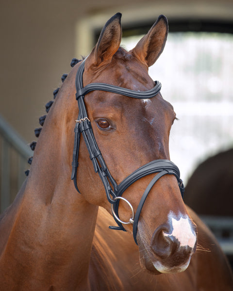 Velociti Lusso Padded Raised Flash Bridle