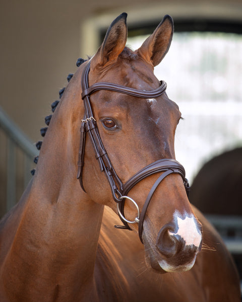 Velociti Lusso Padded Raised Flash Bridle