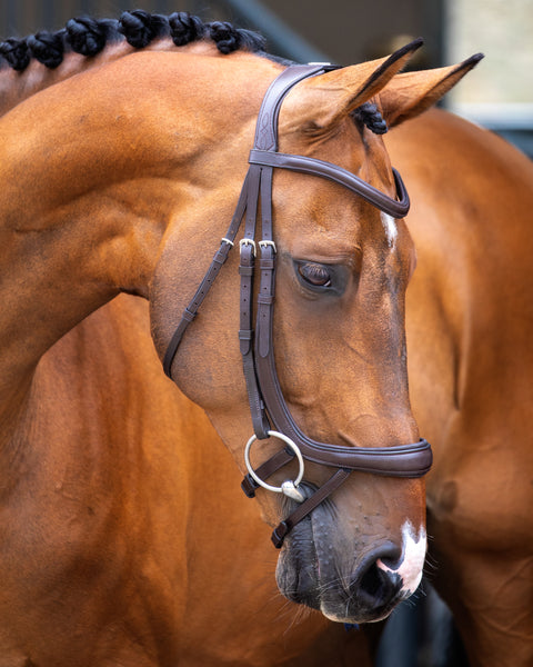 Velociti Lusso Ergonomic Curved Flash Bridle