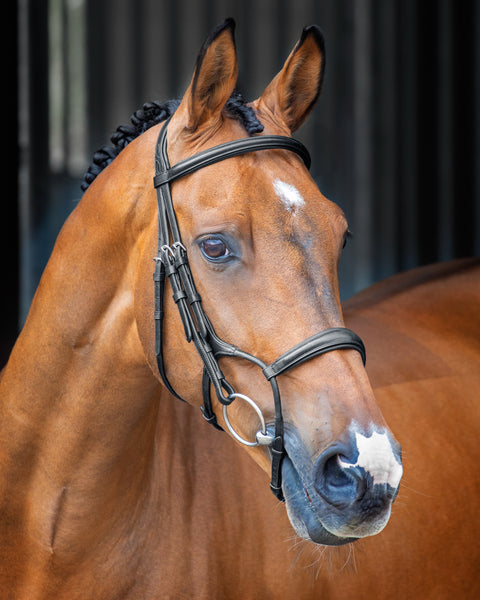 Velociti Lusso Rolled Padded Caveson Bridle