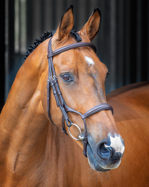 Velociti Lusso Rolled Padded Caveson Bridle