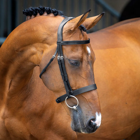 Velociti Lusso Hunter Caveson Bridle