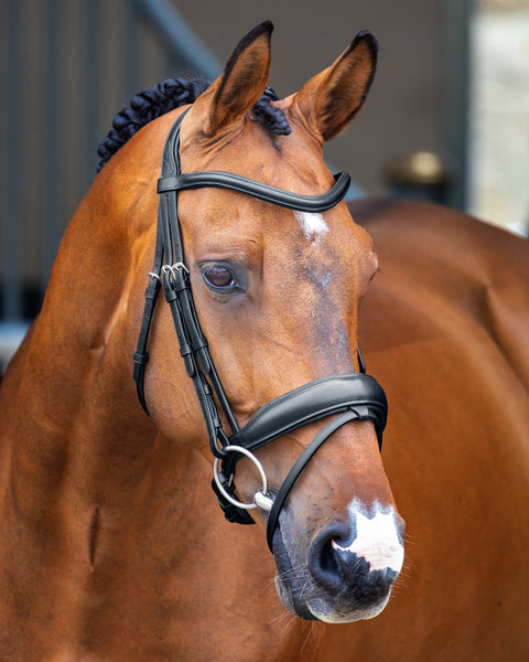 Velociti Lusso Dressage Flash Bridle