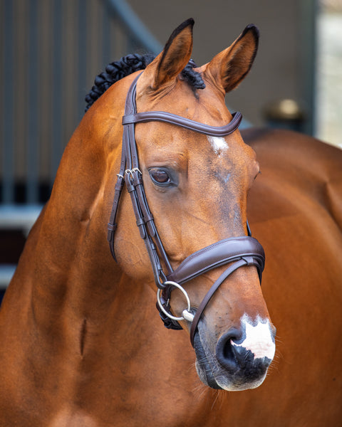 Velociti Lusso Dressage Flash Bridle