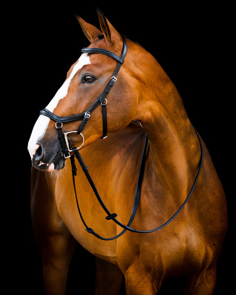 Horseware® Ireland Micklem2 Deluxe Competition Bridle with Reins - Black / Small Horse/Cob - Bridles