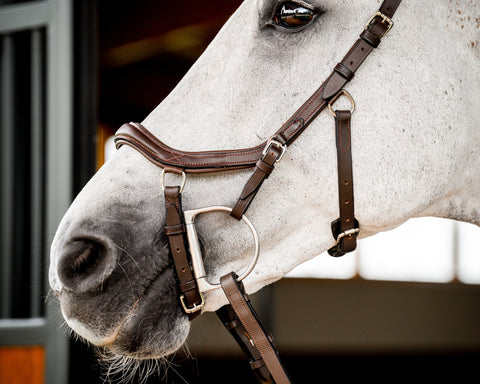 Horseware® Ireland Micklem2 Deluxe Competition Bridle with Reins - Bridles
