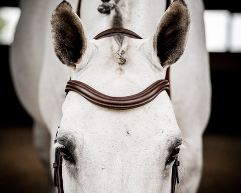 Horseware® Ireland Micklem2 Deluxe Competition Bridle with Reins - Bridles