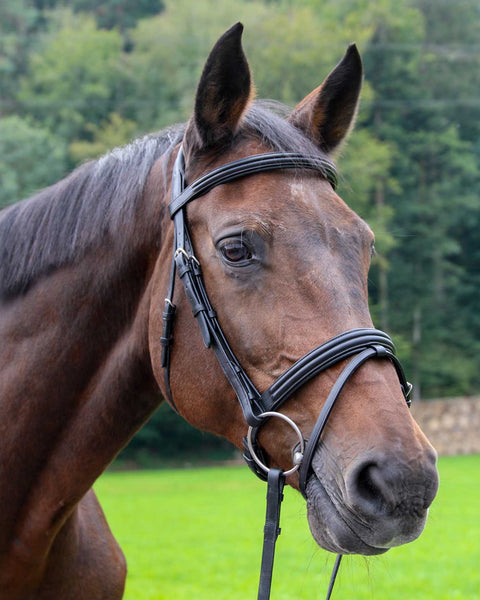 Vespucci Dressage Double Raised Snaffle Bridle