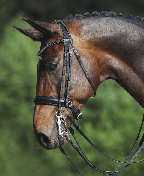 Passier® Fortuna Double Bridle