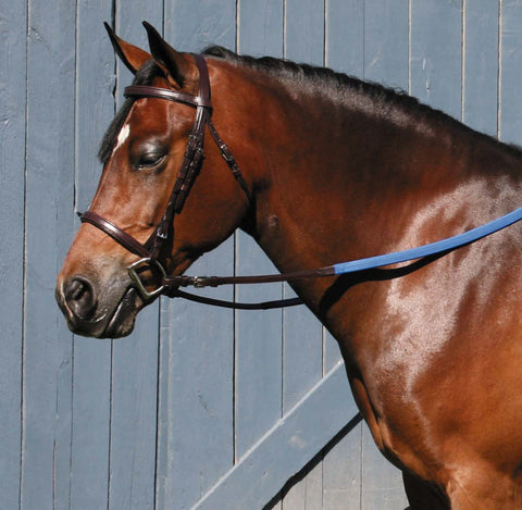 Tory Leather Company Padded English Bridle