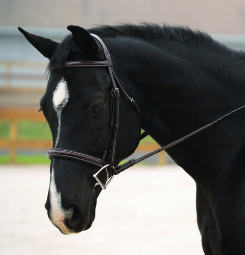 Black Oak Cypress Hunter Bridle
