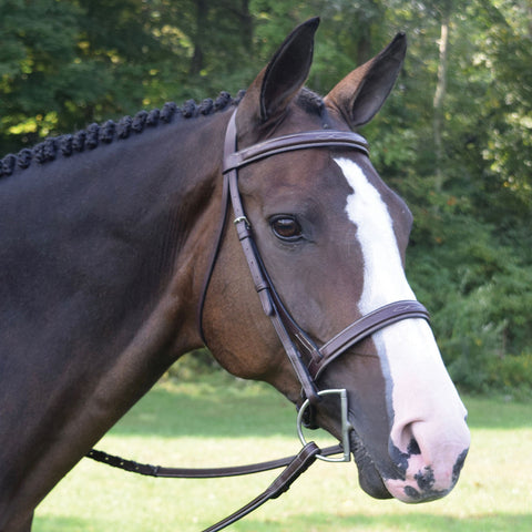 Black Oak Spruce Hunter Bridle